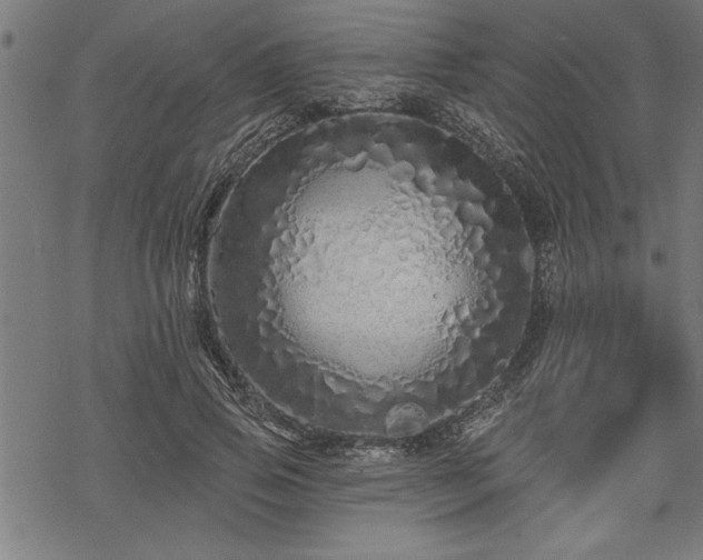 X0000069790741200605221114