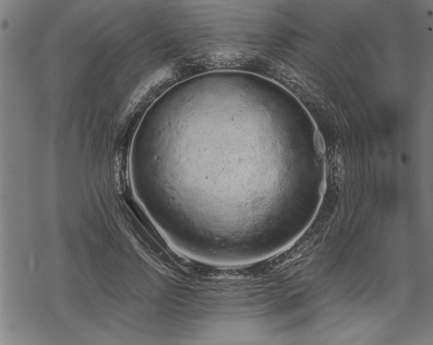 X0000069790742200605221114