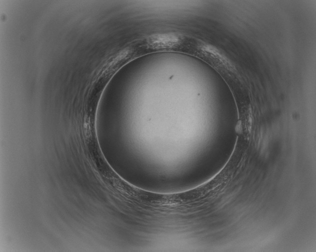 X0000069790743200605221114