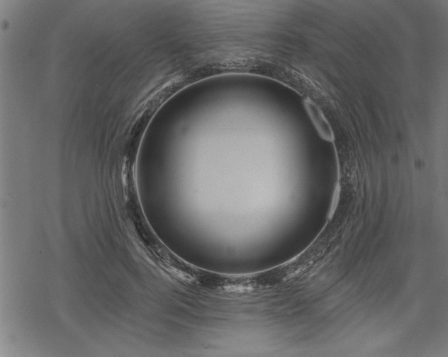 X0000069790744200605221114