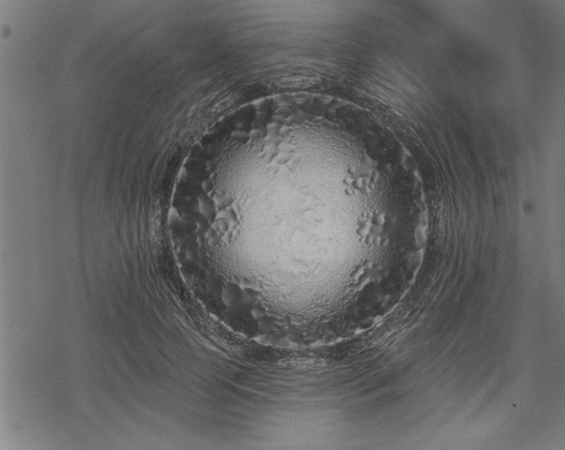 X0000069790745200605221114