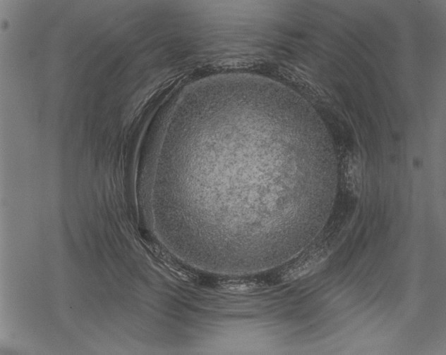 X0000069790746200605221114