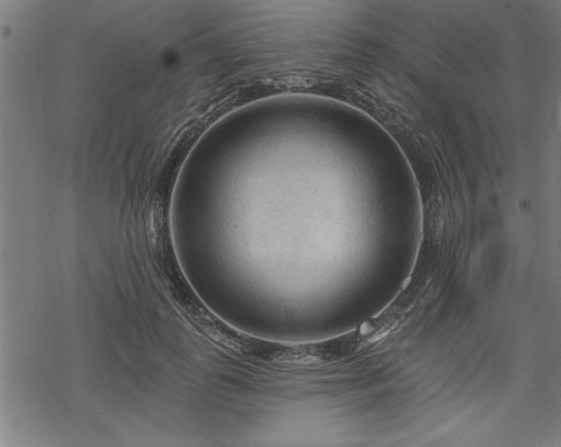 X0000069790747200605221114