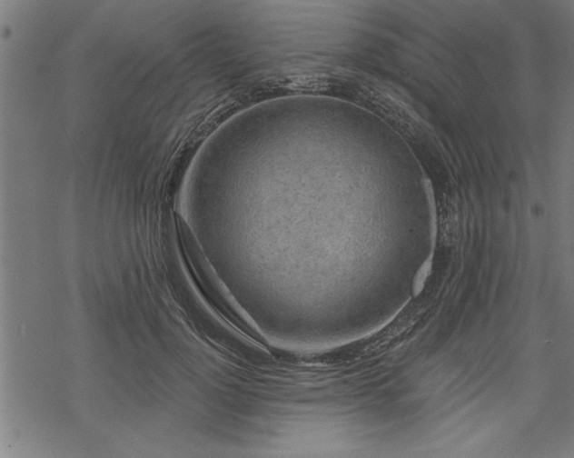 X0000069790748200605221114