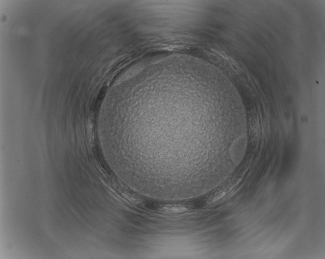 X0000069790749200605221114