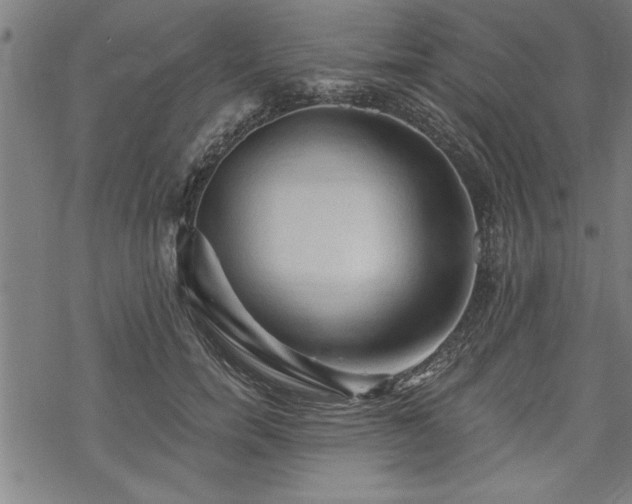 X0000069790750200605221114