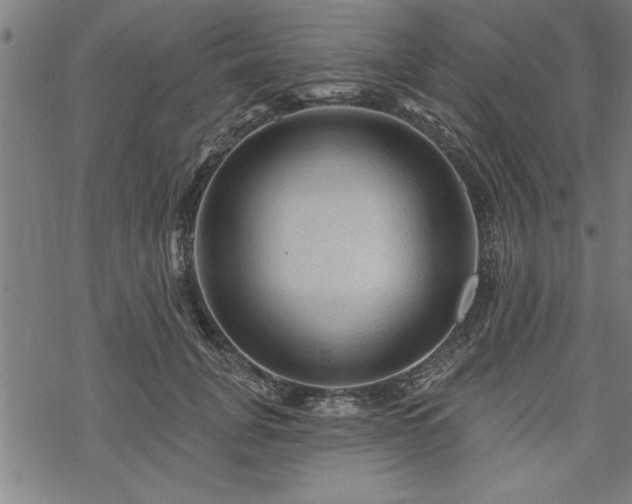 X0000069790751200605221114