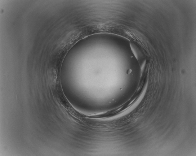 X0000069790752200605221114