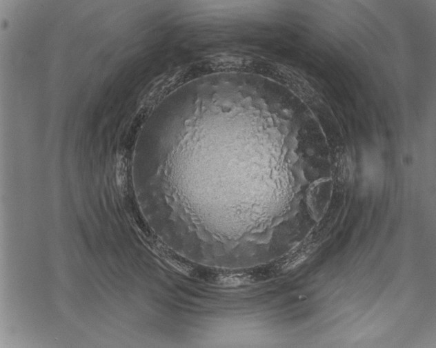 X0000069790753200605221114