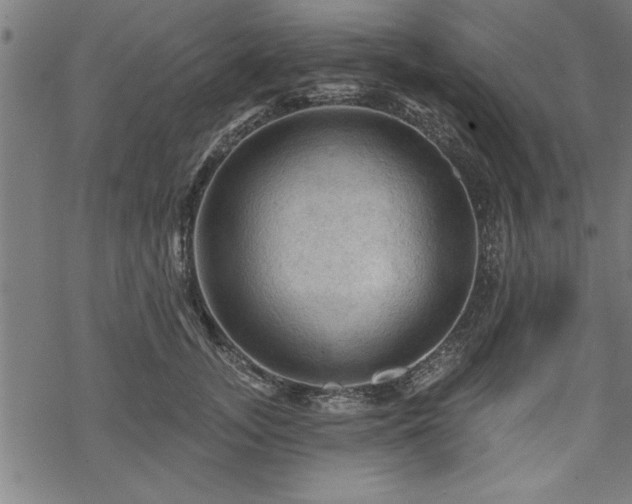 X0000069790755200605221114