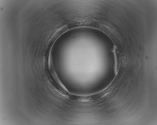 X0000069790756200605221114