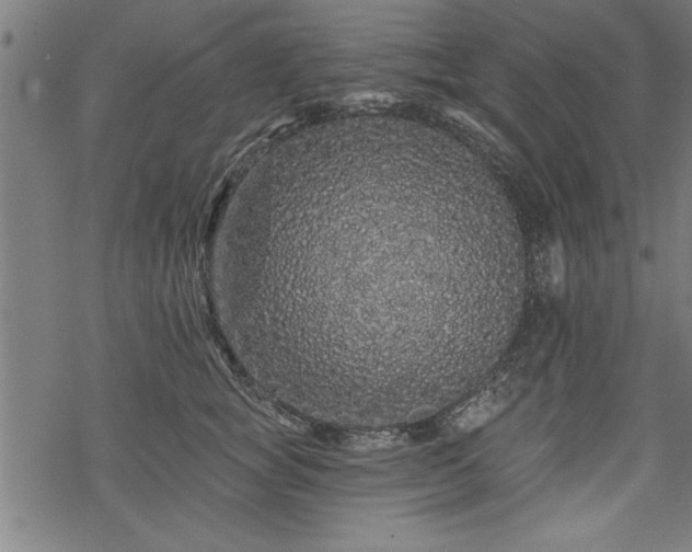 X0000069790757200605221114