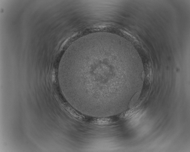 X0000069790758200605221114