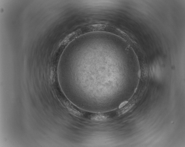 X0000069790759200605221114