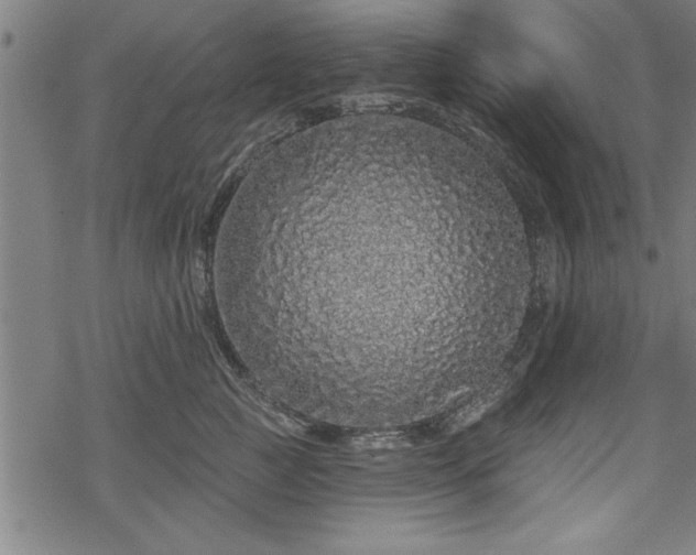 X0000069790761200605221114