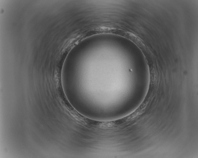 X0000069790762200605221114