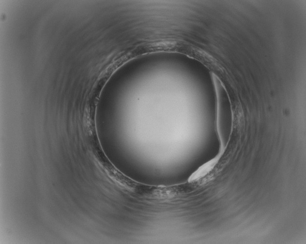 X0000069790764200605221114