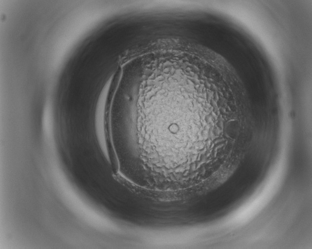 X0000069790765200605221114