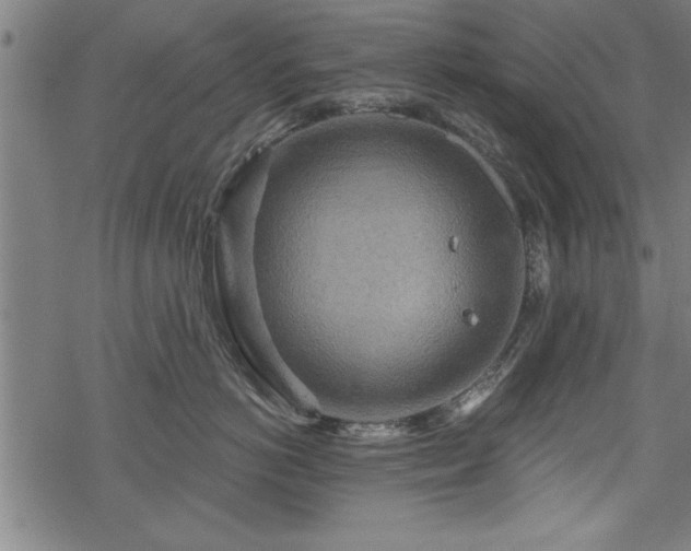 X0000069790766200605221114