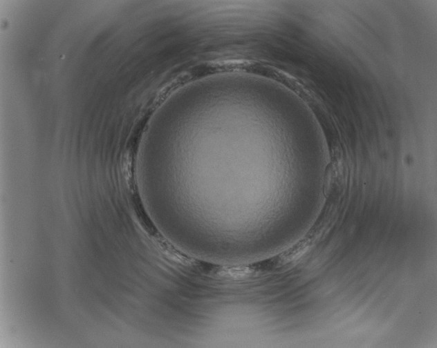 X0000069790767200605221114