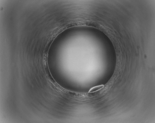 X0000069790768200605221114