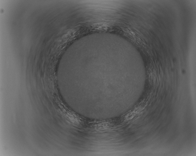 X0000069790769200605221114