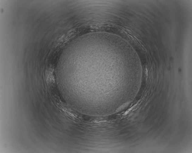 X0000069790770200605221114