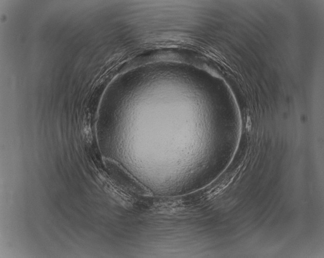 X0000069790771200605221114