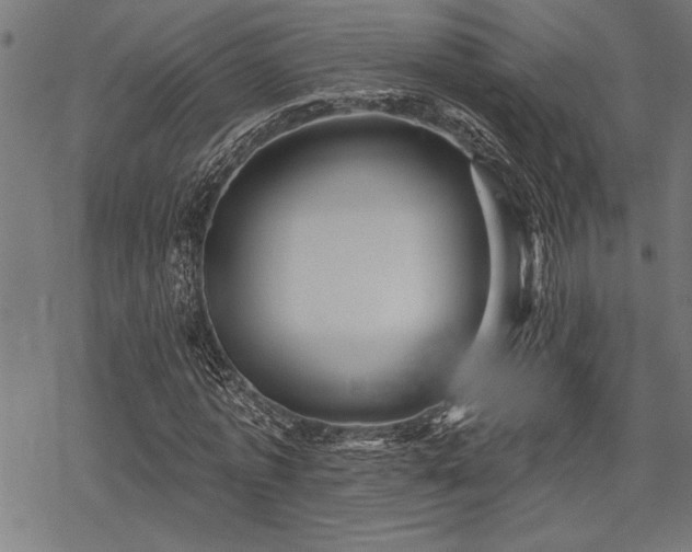 X0000069790773200605221113