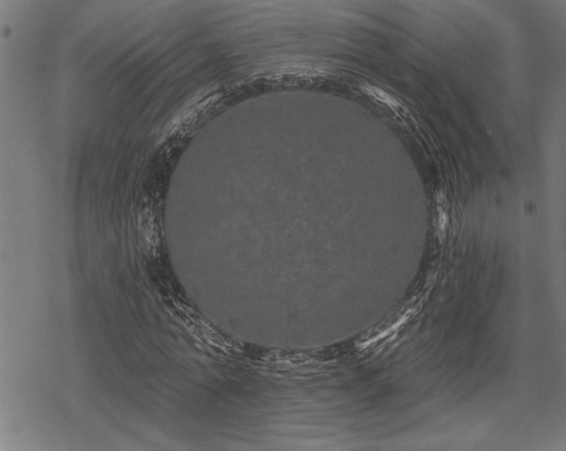 X0000069790774200605221113