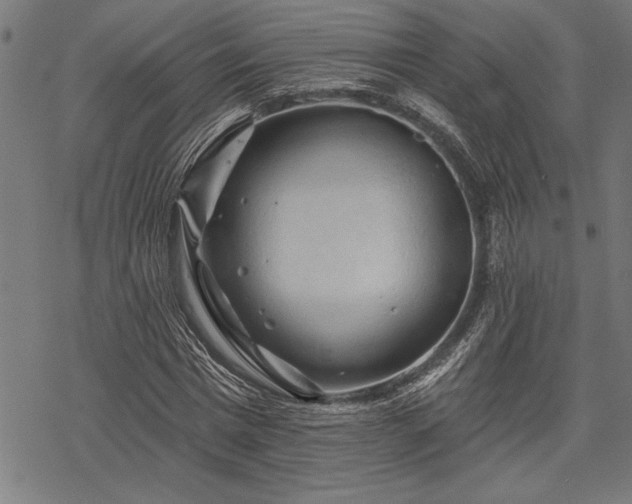 X0000069790777200605221113