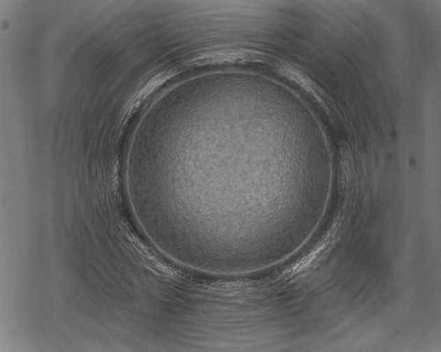 X0000069790778200605221113