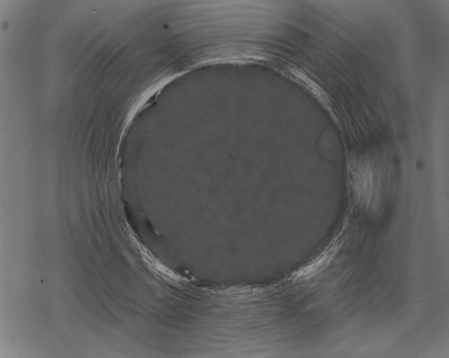 X0000069790779200605221113