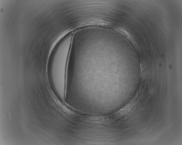 X0000069790780200605221113