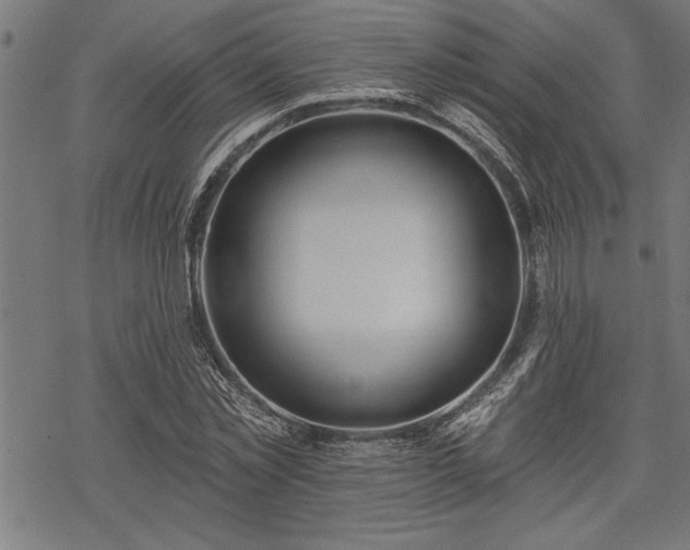 X0000069790781200605221113