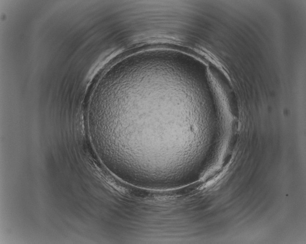 X0000069790782200605221113