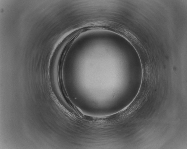 X0000069790784200605221113