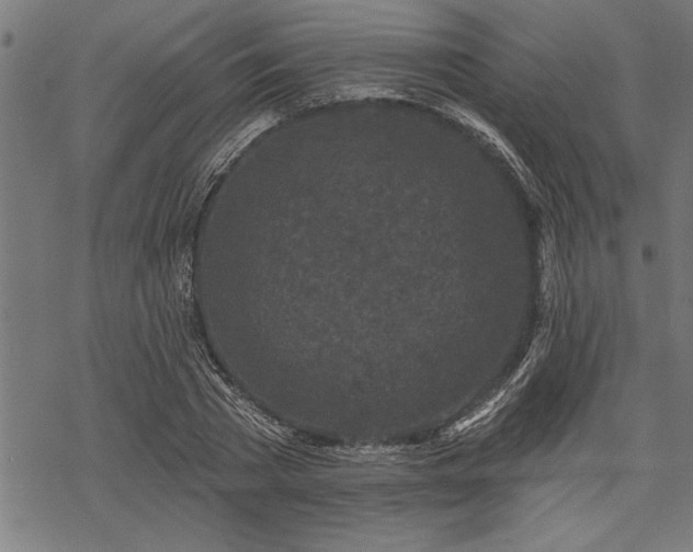 X0000069790785200605221113