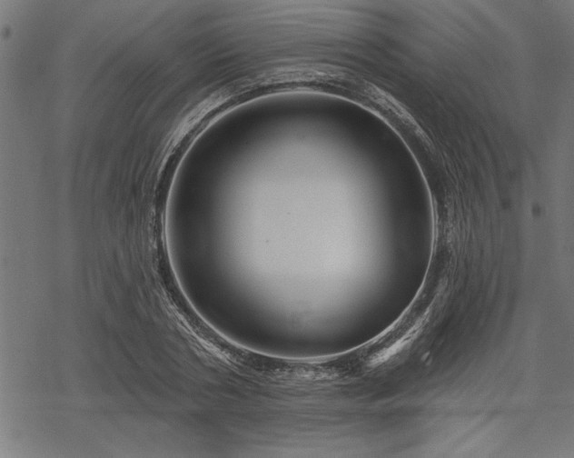 X0000069790786200605221113