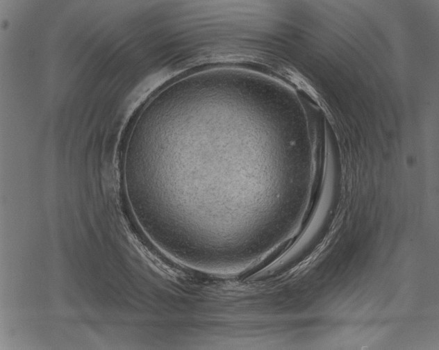 X0000069790787200605221113