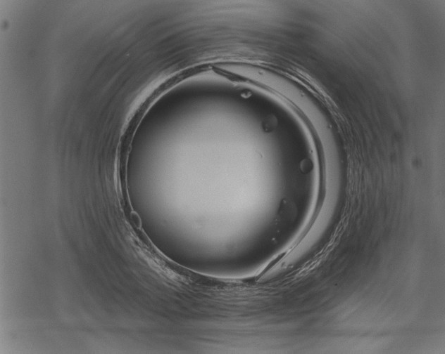 X0000069790788200605221113