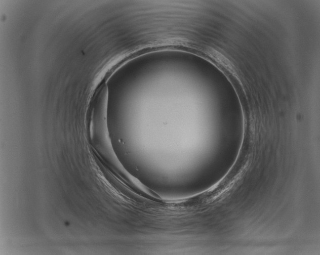 X0000069790789200605221113