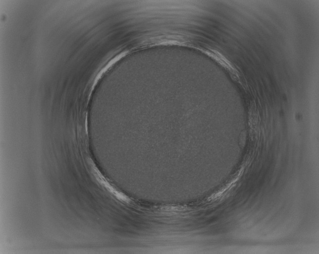 X0000069790790200605221113