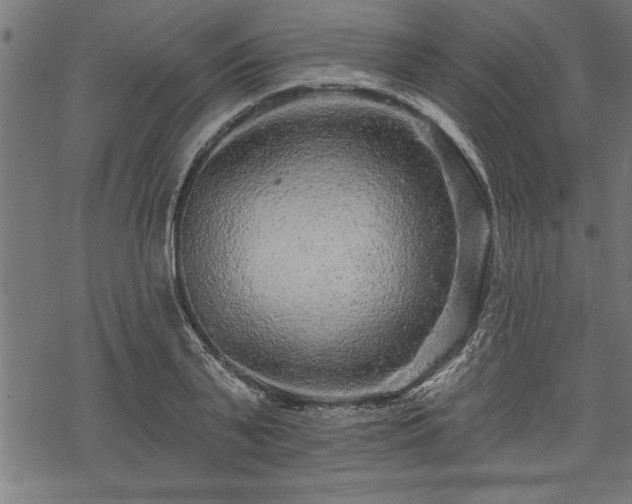 X0000069790791200605221113