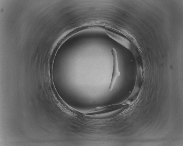 X0000069790792200605221113