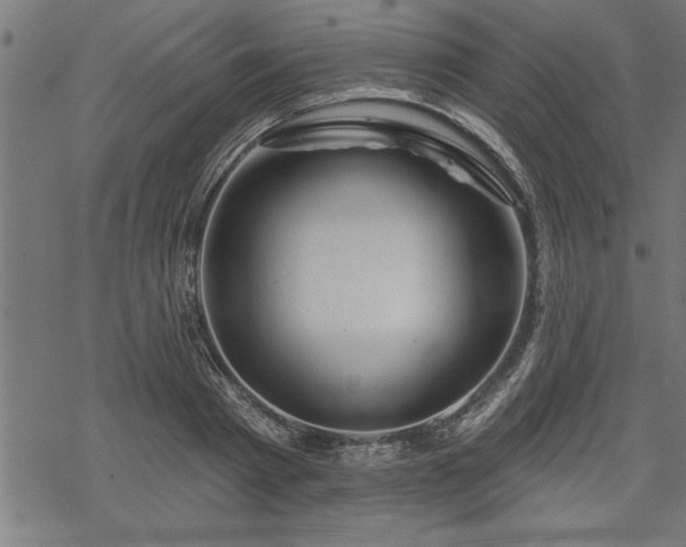 X0000069790793200605221113