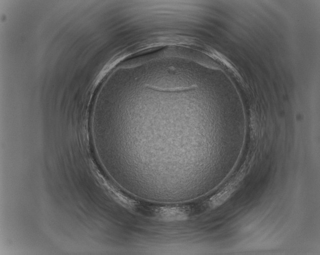 X0000069790794200605221113