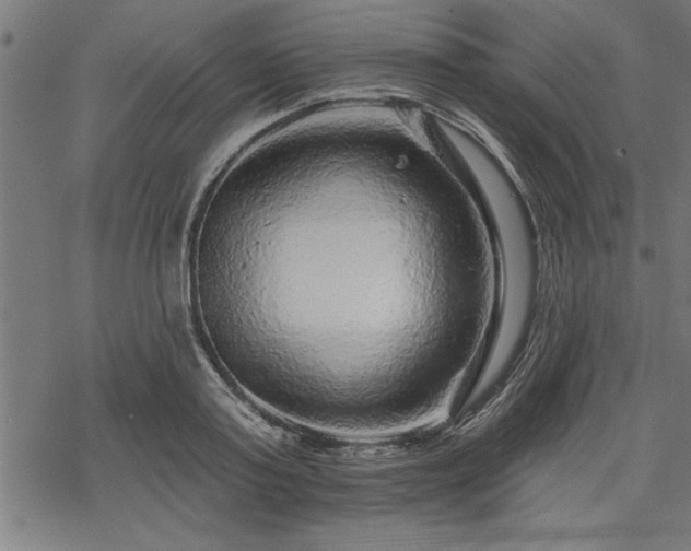 X0000069790795200605221113