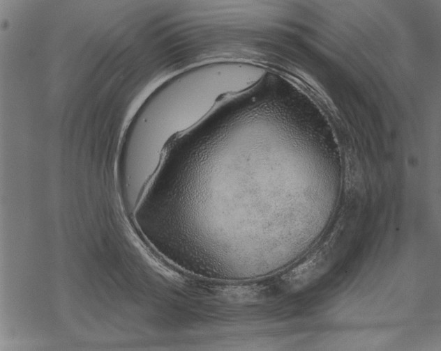 X0000069790796200605221113