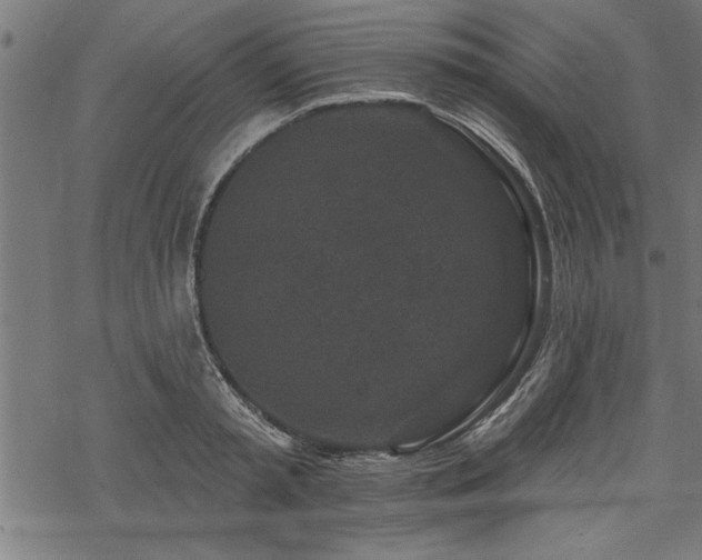 X0000069790797200605221113